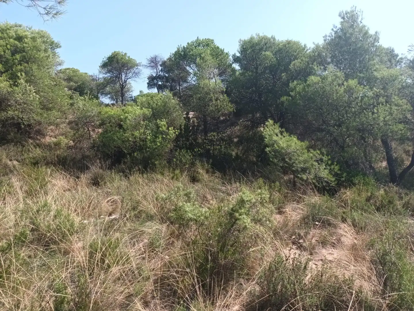 Residential for sale in La Pobla de Claramunt