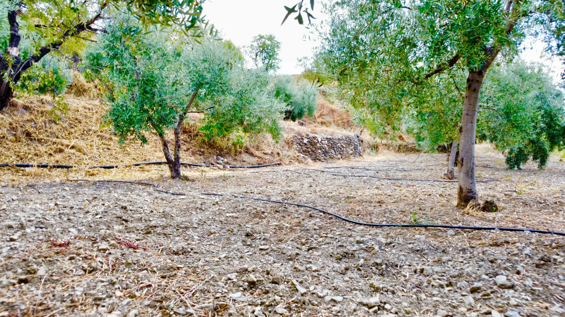 Terreno rustico in vendita a N/A, imagen 37