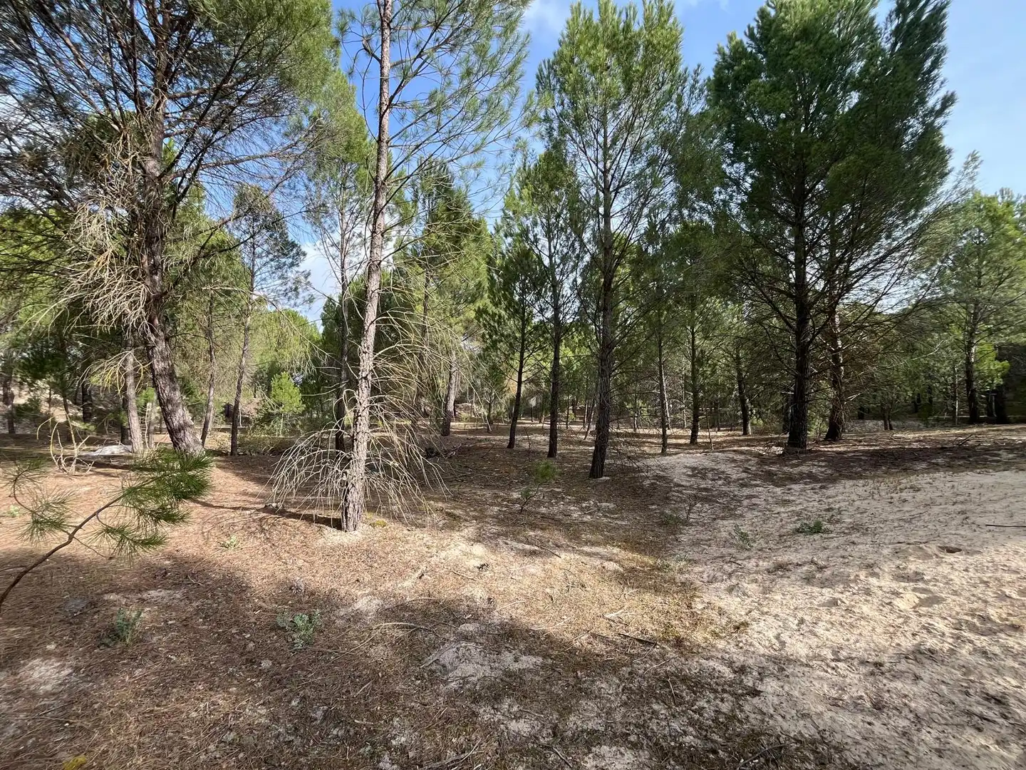 Terreno en venta en Tudela de Duero