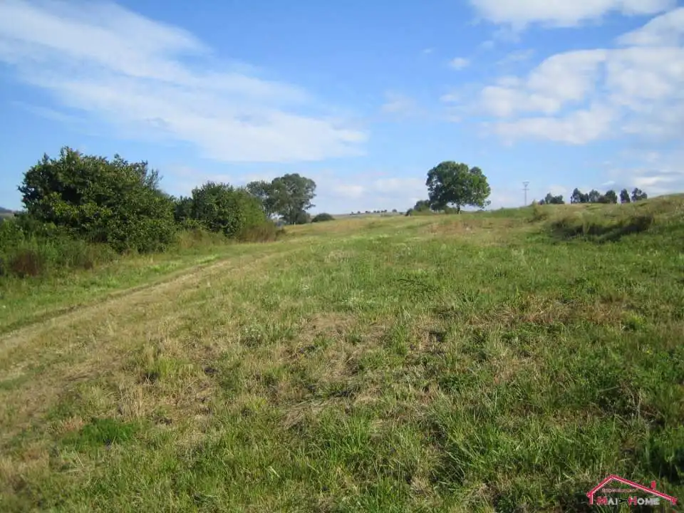 Terreny residencial en venda a Camino reocin, imagen 3