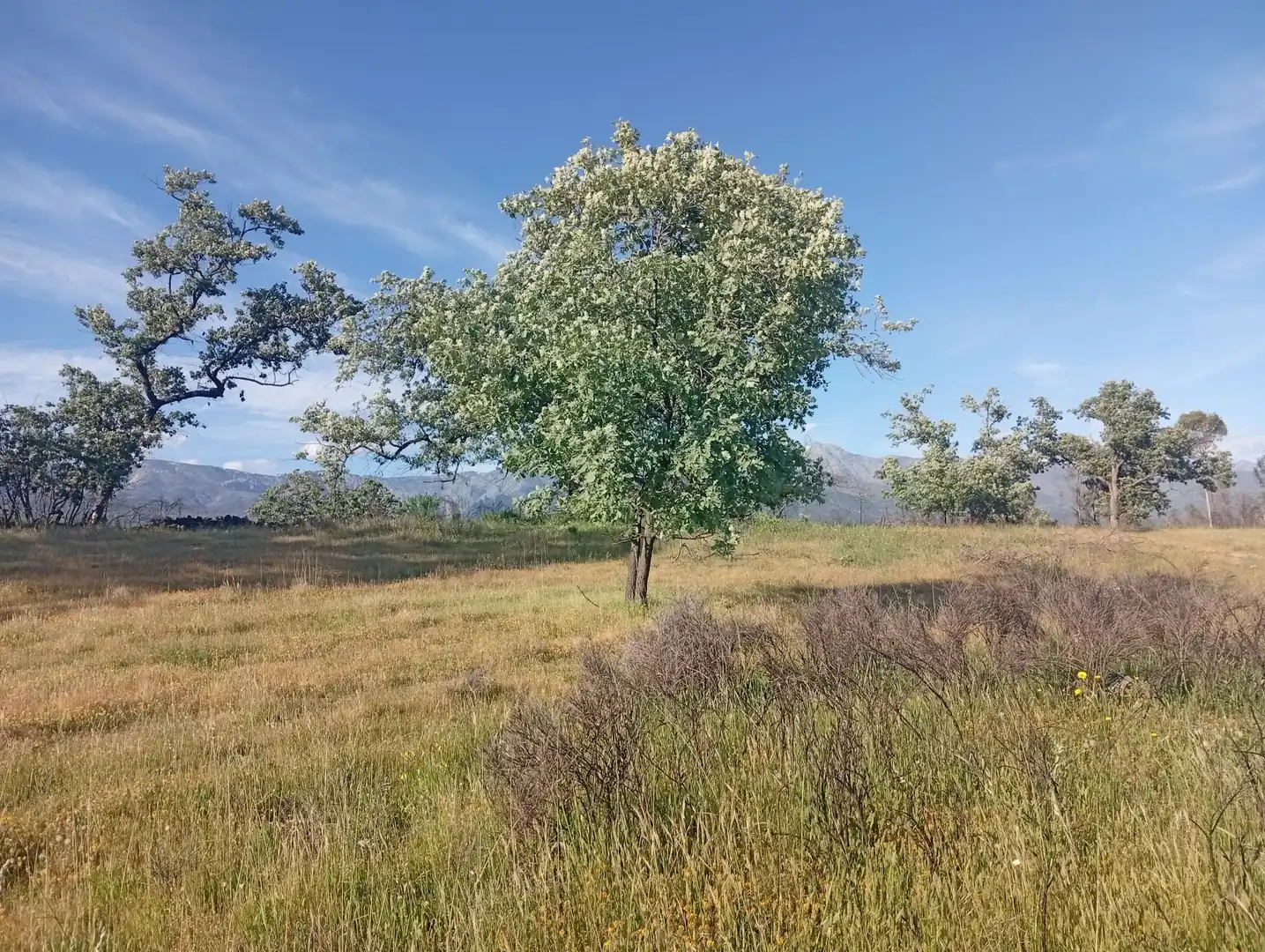 Terreni e lotti in vendita a Villanueva de la Vera, imagen 69