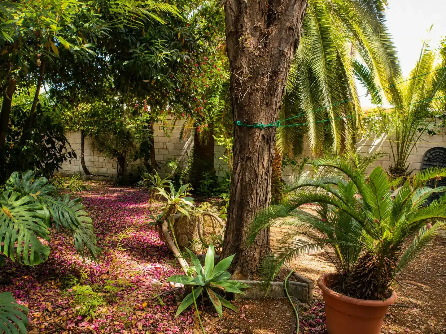 Garden of Flat for sale in Sevilla  with Private garden