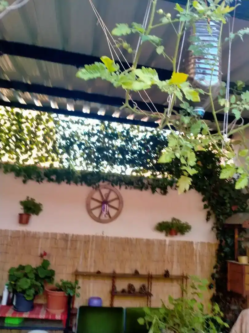 Terraza de Casa o chalet en venta en Malagón