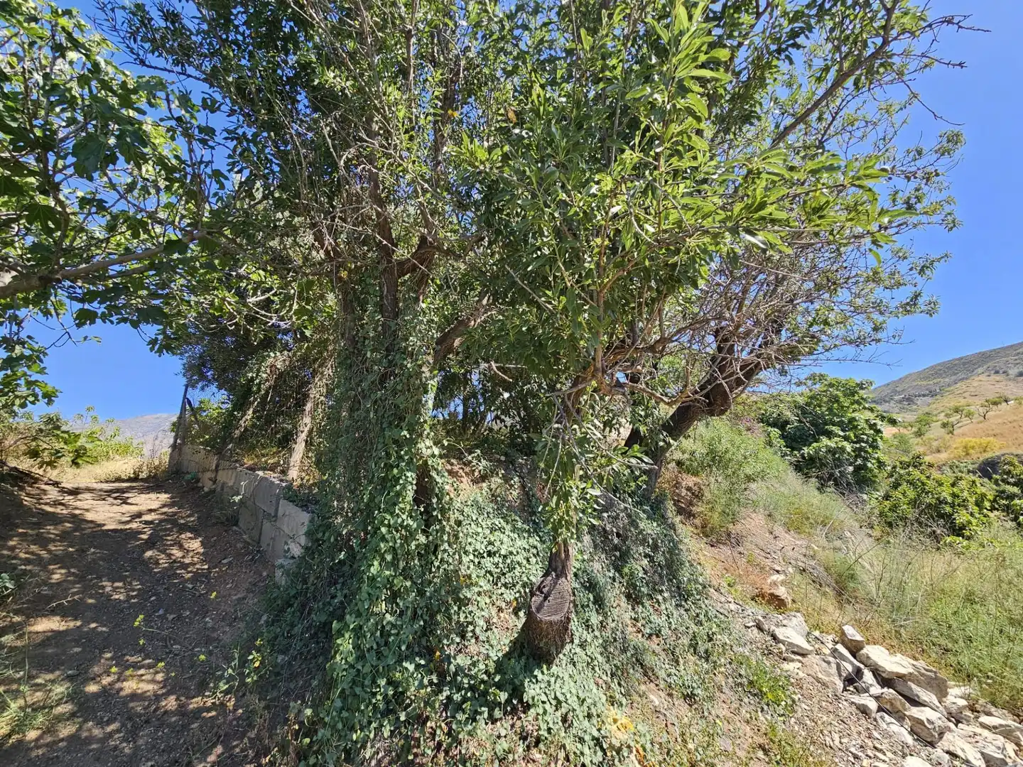 Country homes for sale in Lújar  with Private garden