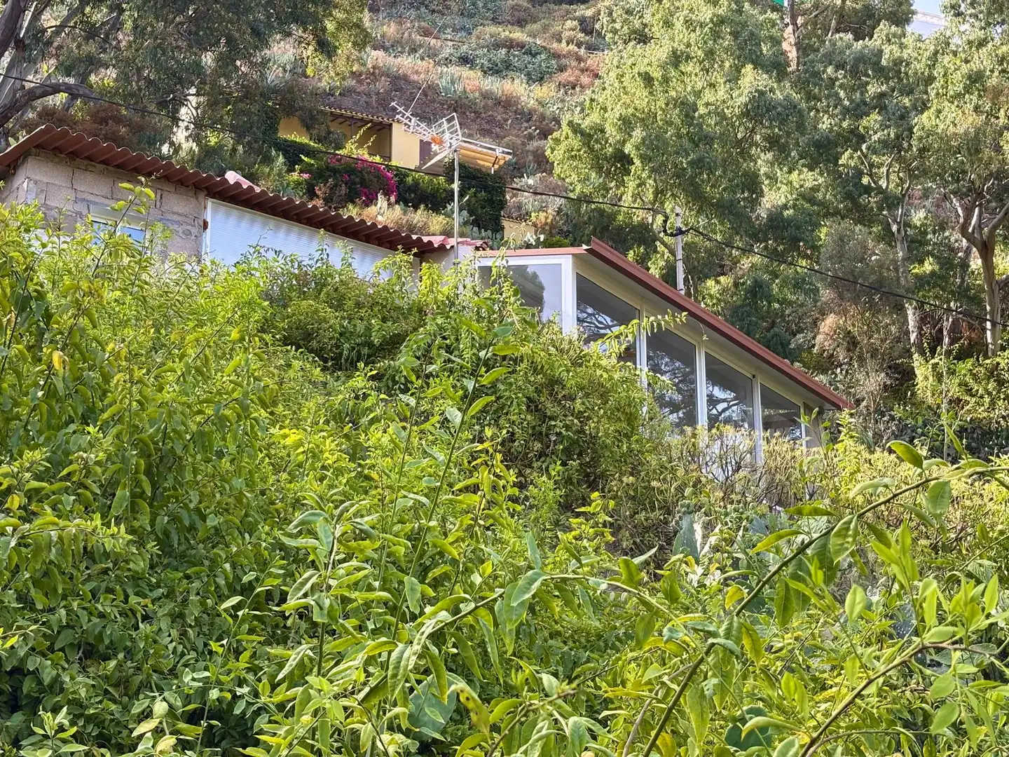 Vista exterior de Finca rústica en venda en Santa Brígida amb Rentadora