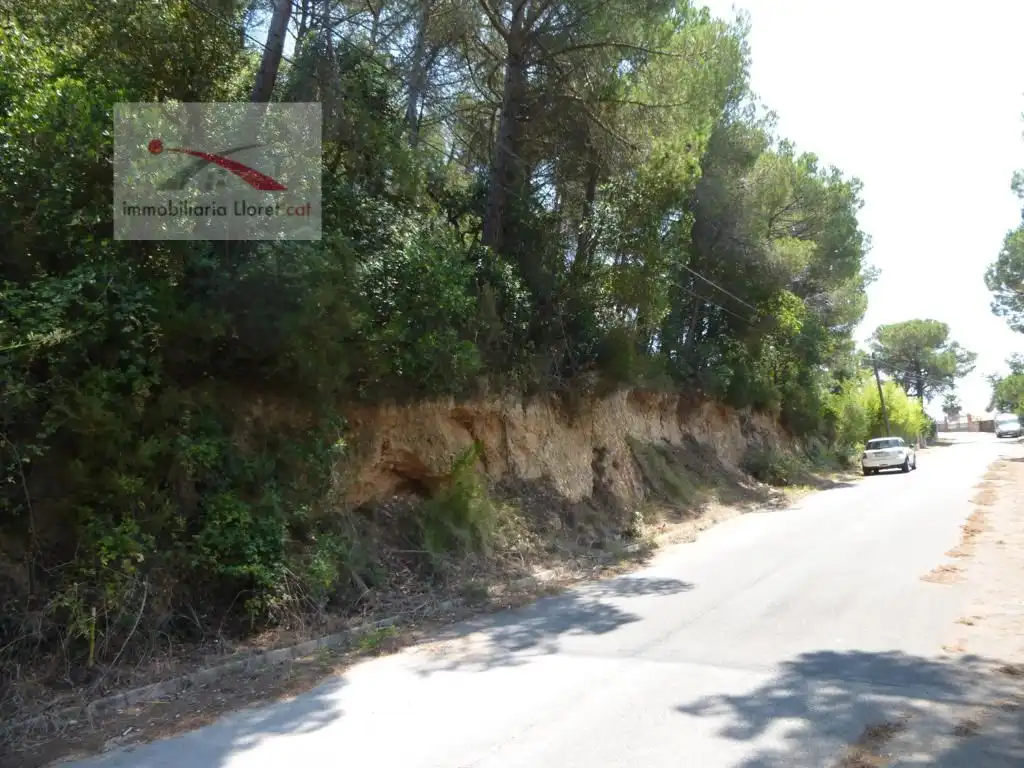 Residential land for sale in Llagostera, imagen 3