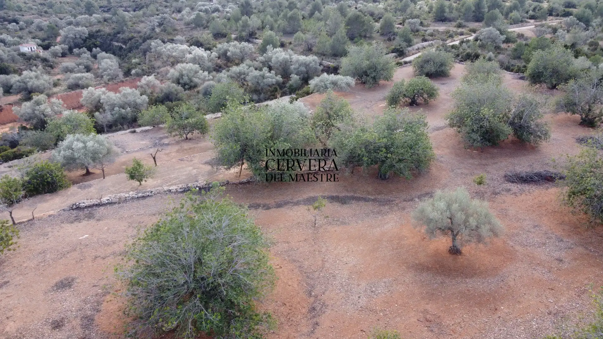 Terreno rustico in vendita a Partidas de interior - Zona Rústica, imagen 47