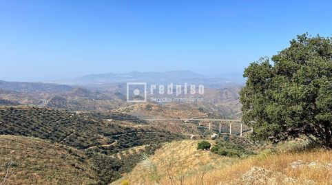 Photo 4 of Residential for sale in R34, 88, Residencial Jardín Botánico, Málaga Capital