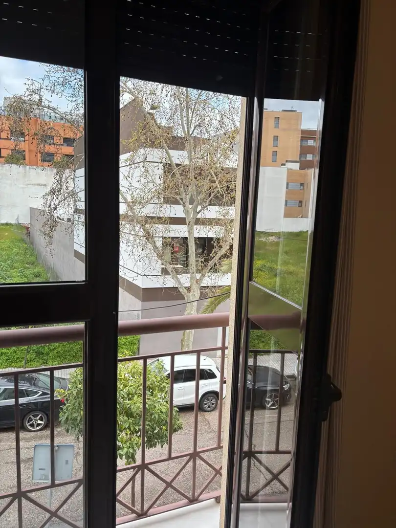 Pis de lloguer a Córdoba, Córdoba