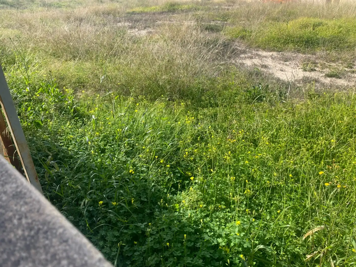 Terreno residencial en venta en Elche ciudad, imagen 20