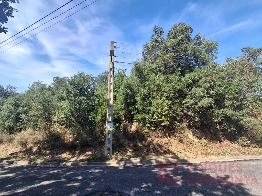 Terreno residencial en venta en Carrer Alzina Surera, imagen 10