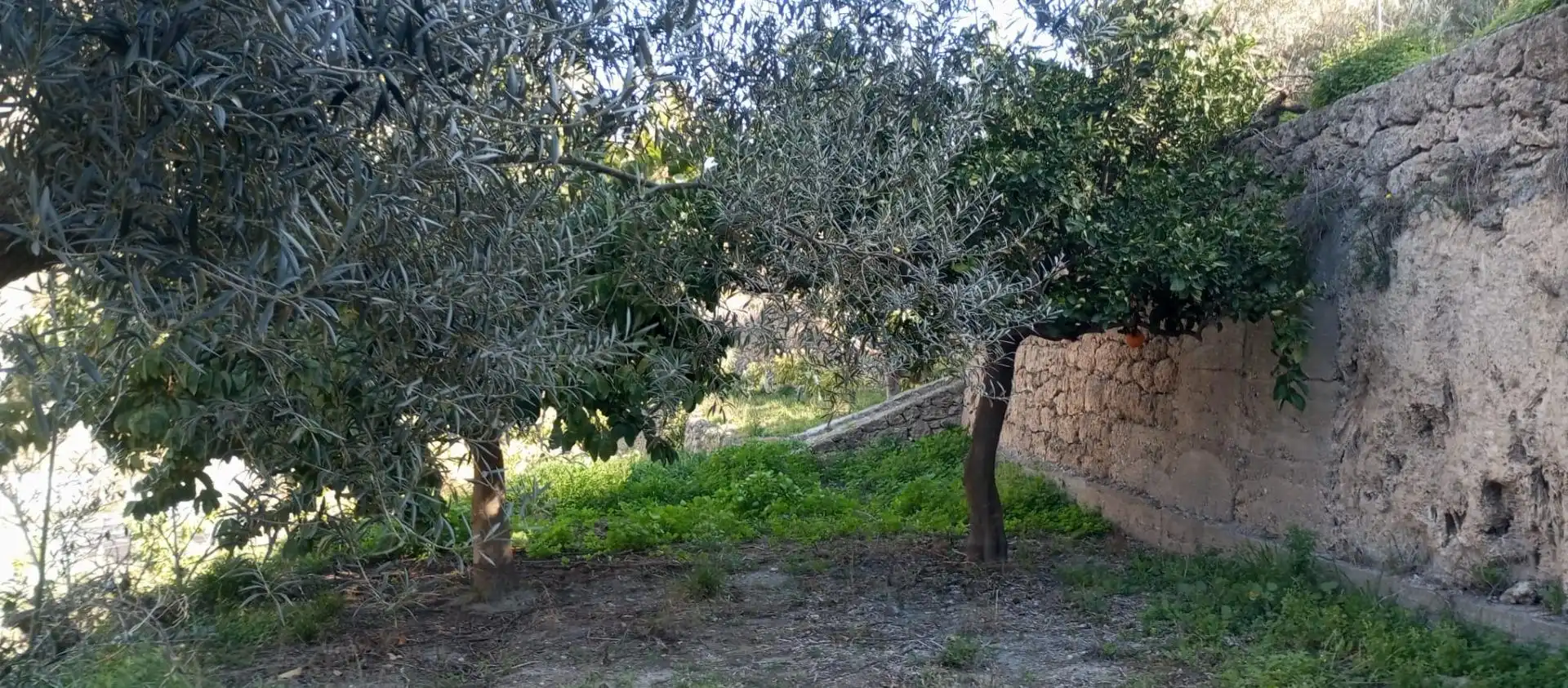Casa rústica amb jardí en venda a Vélez de Benaudalla, imagen 26
