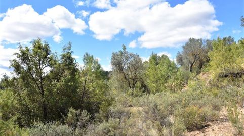 Foto 5 de Terreny en venda a Arens de Lledó, Teruel