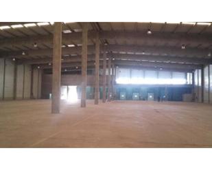 Exterior view of Industrial buildings to rent in Sant Boi de Llobregat