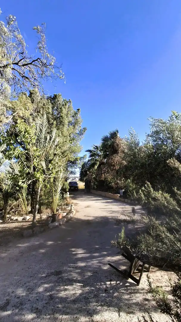Casa en venta en Abanilla, imagen 12