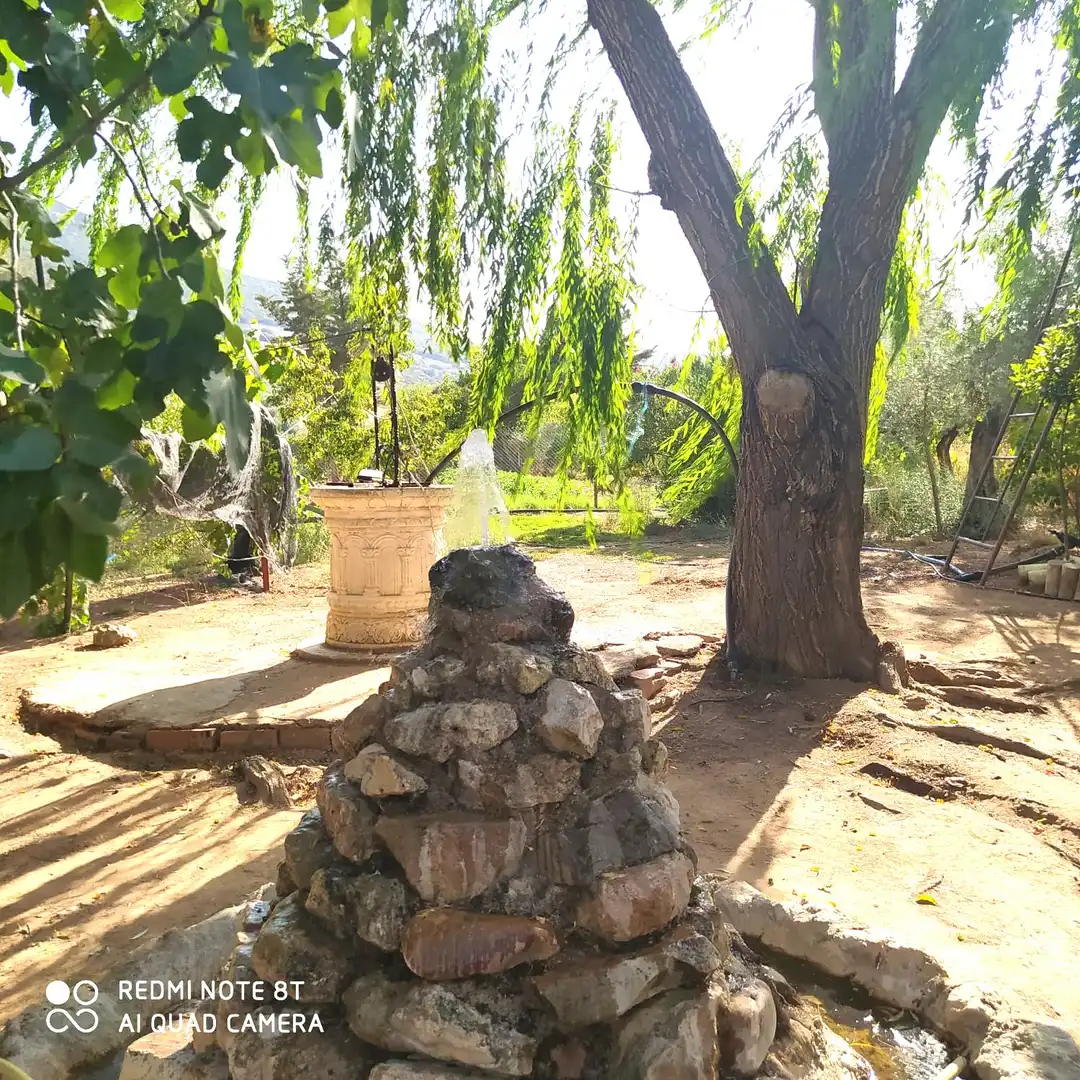 Chalet con jardín en venta en Malagón, imagen 22