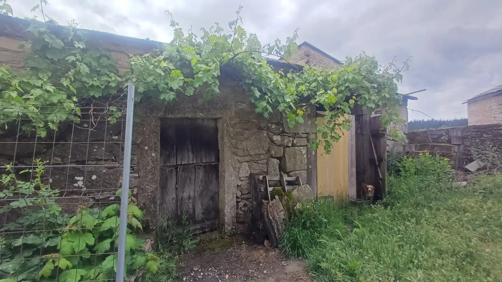 Casa in vendita a Outeiro de Rei, imagen 49