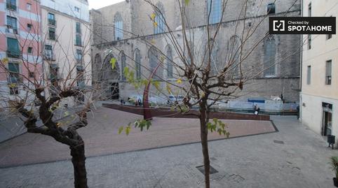 Foto 5 de Pis per a compartir a Sant Pere, Sta. Caterina i la Ribera,  Barcelona Capital