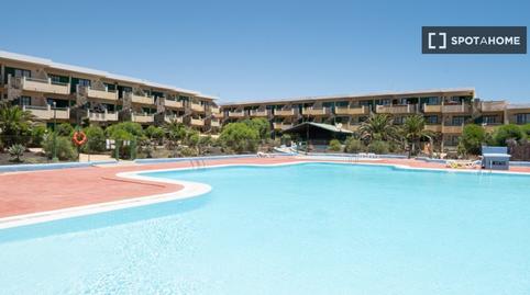 Foto 3 de Estudi per a compartir a Caleta de Fuste, Las Palmas