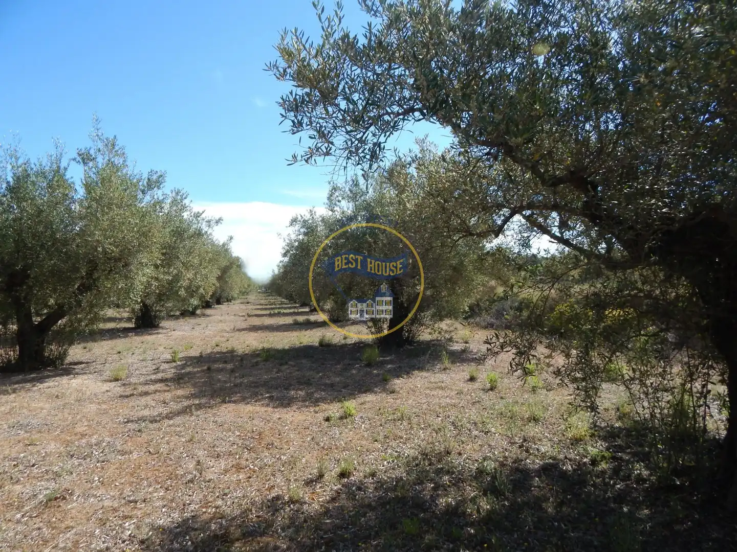Terreny rústic en venda a Agullent, imagen 16