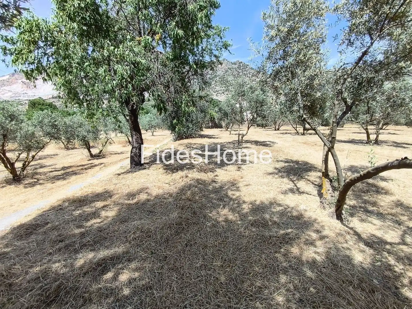 Rural land for sale in XFJ3+526 Nigüelas 0, imagen 33