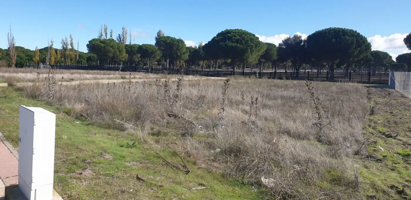 Terreni e lotti in vendita a Aldeamayor de San Martín, imagen 3