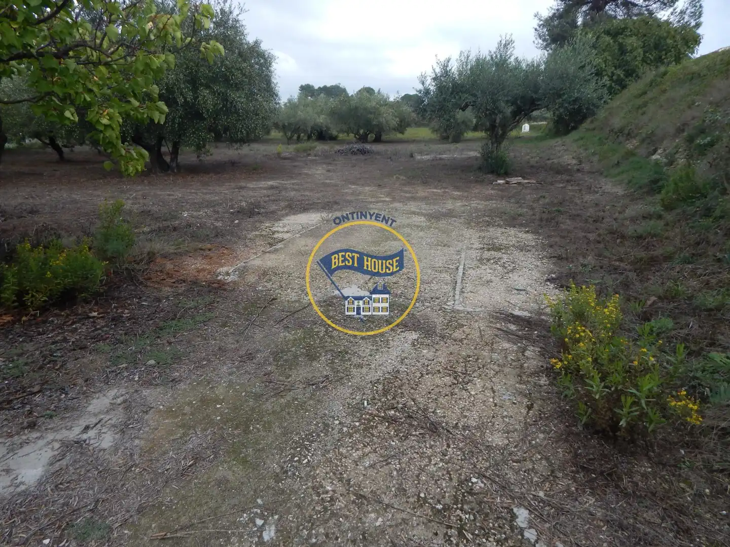 Villa avec jardin à vendre à Sant Josep - Zona Hospital, imagen 47