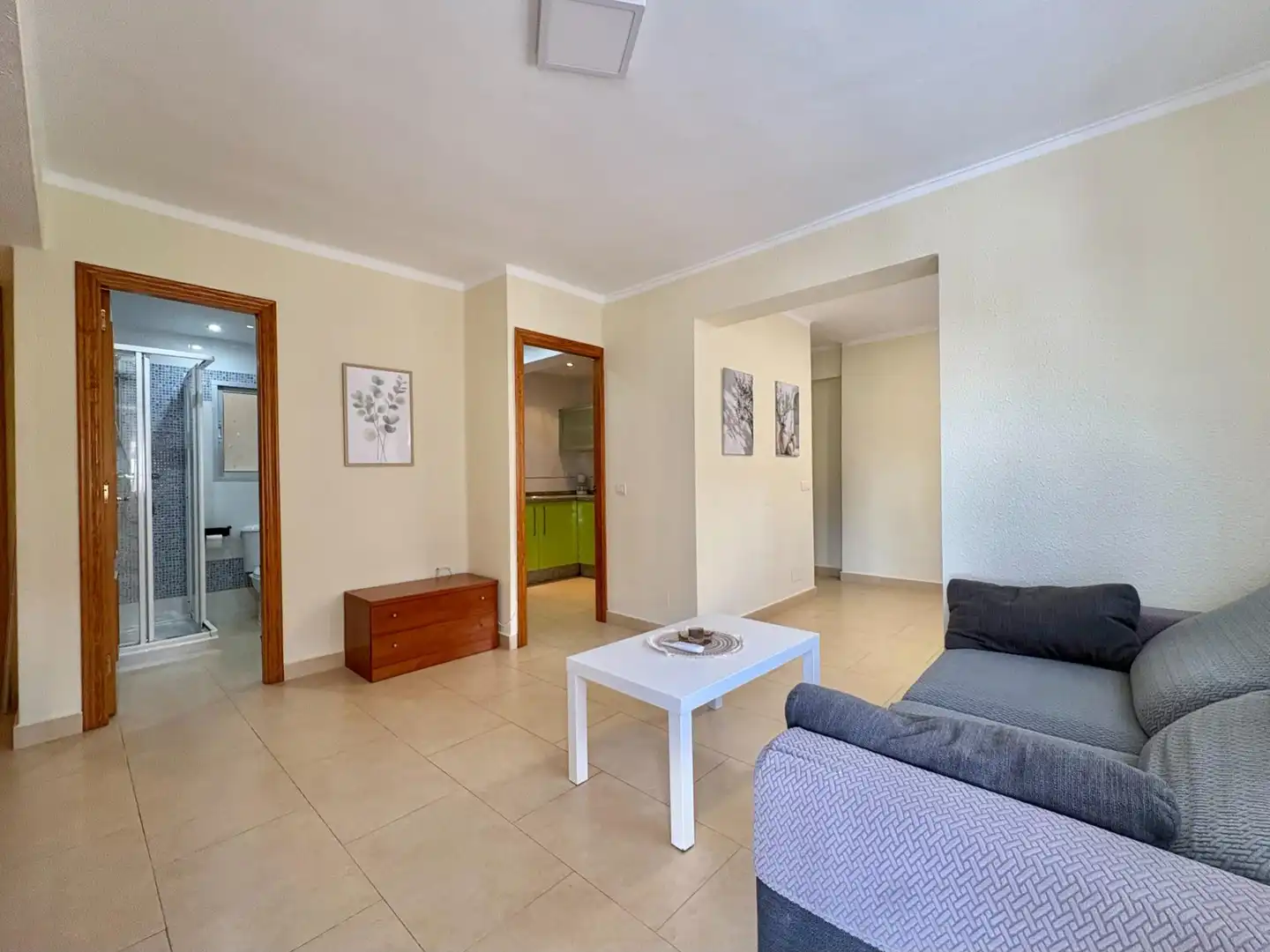 Flat with terrace for sale in MARTINEZ DE LA ROSA, imagen 3