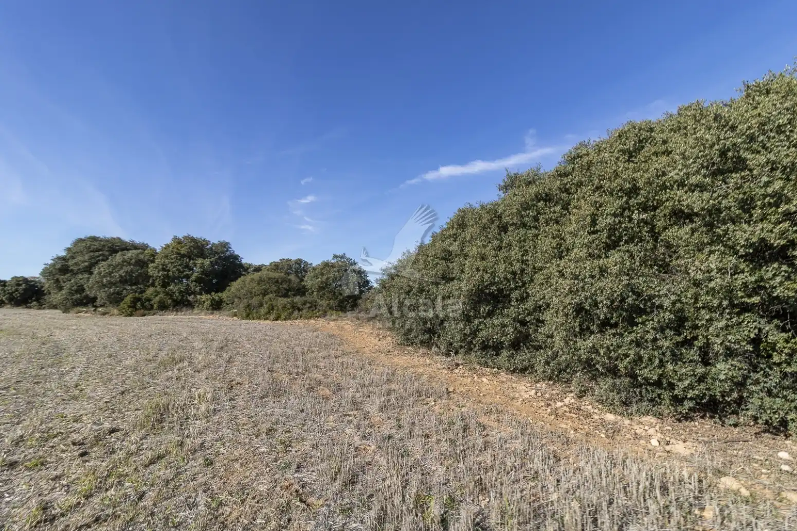 Terreno en venta en Yebes