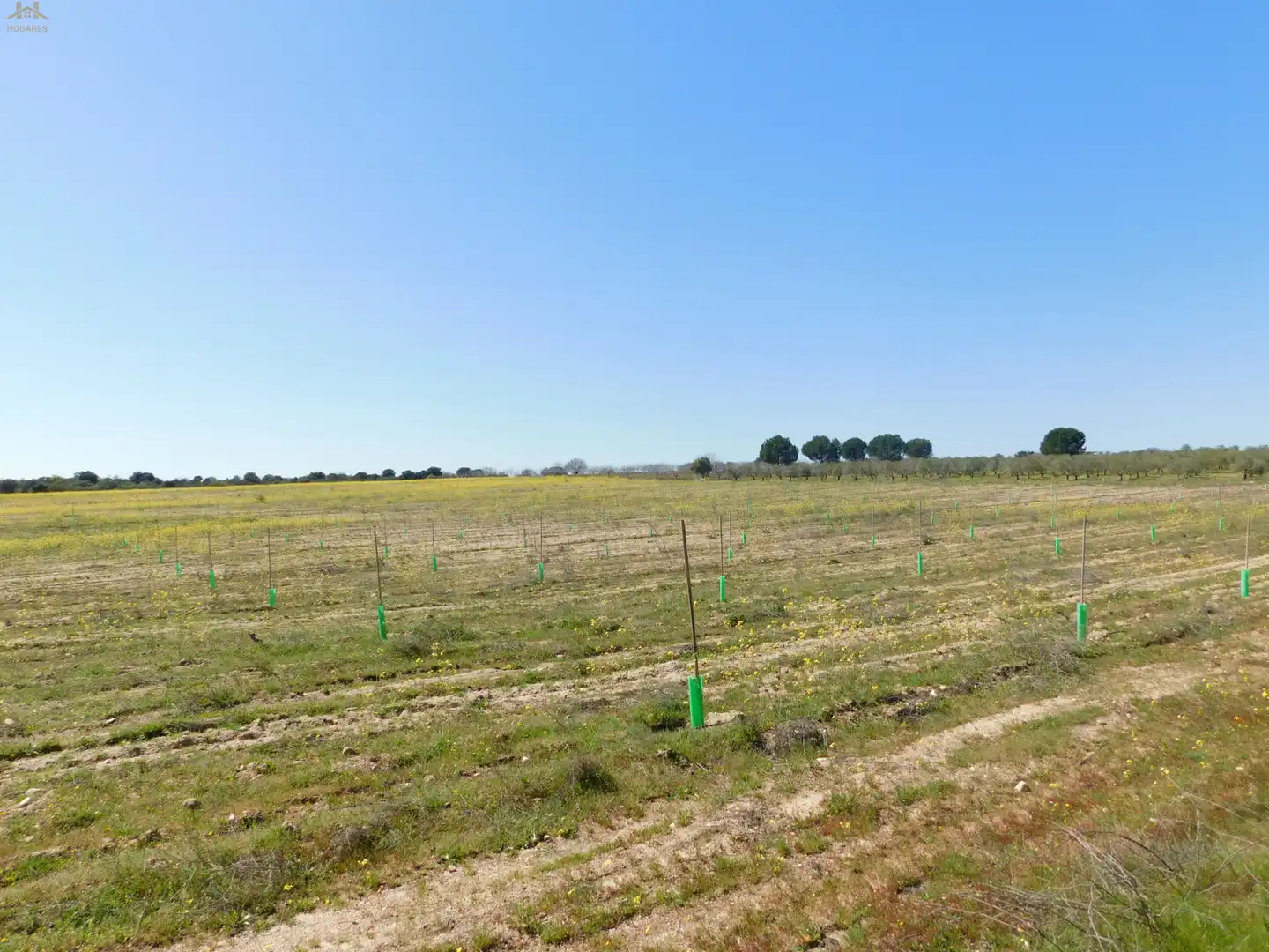 Terreno en venta en Villa del Prado