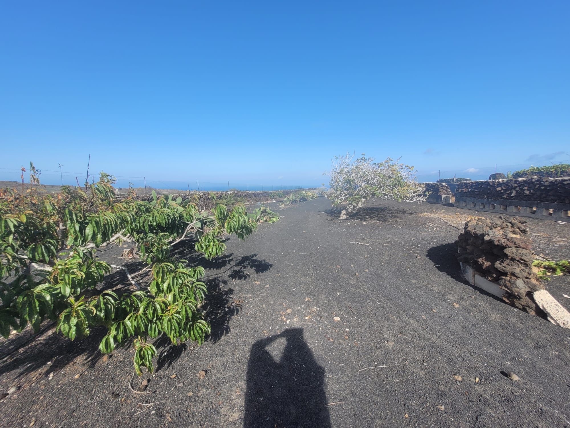 Exterior view of Land for sale in Haría