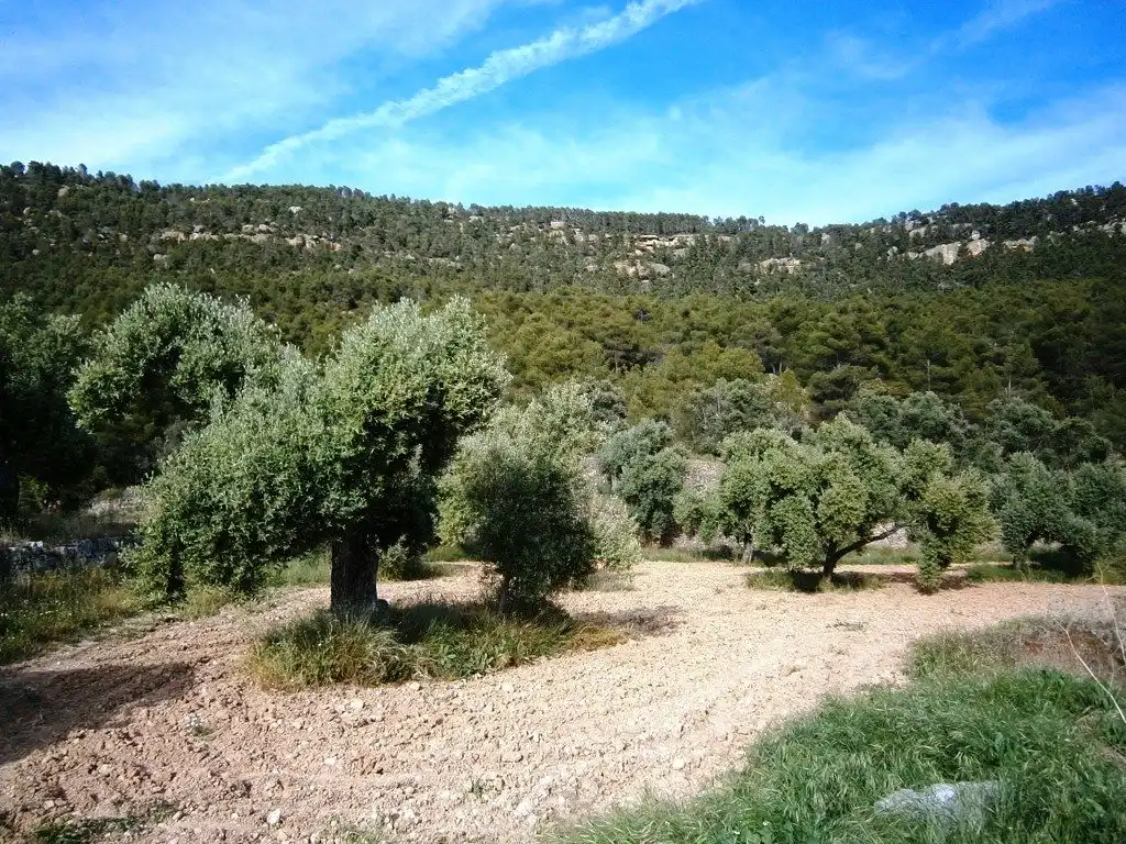 Country homes for sale in Fuentespalda  with Private garden, Terrace and Storage room