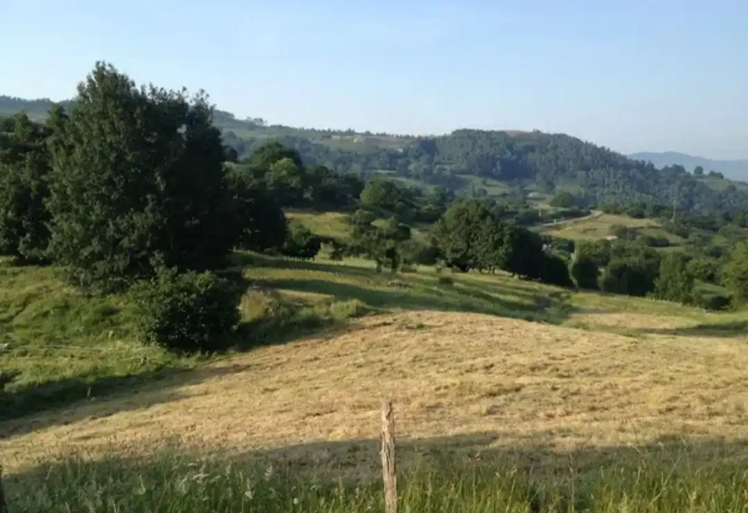 Terreno rustico in vendita a Corvera de Toranzo, imagen 13