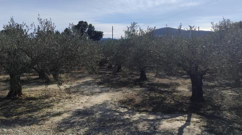 Photo 3 of Country house for sale in Fines, Almería