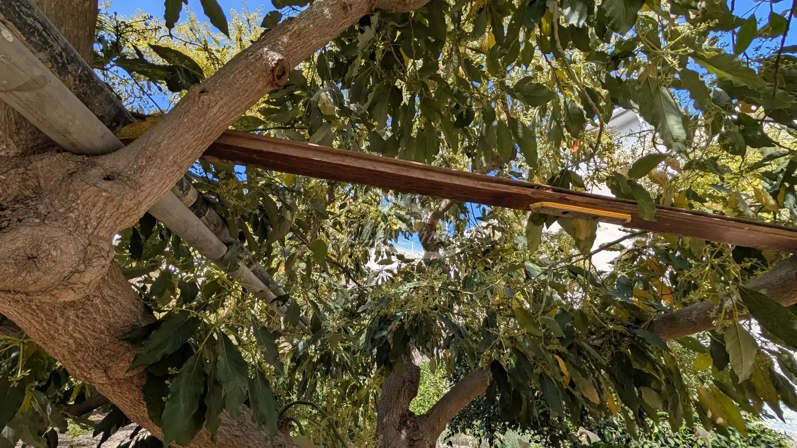 Jardín de Casa adosada en venta en San Miguel de Abona con Jardín privado, Trastero y Amueblado