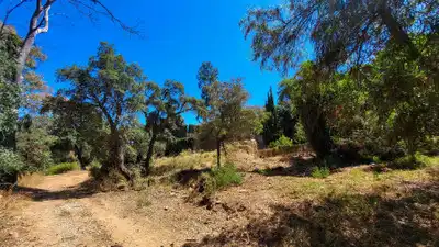 Chalet con piscina en venta en Elviria - Cabopino, imagen 35