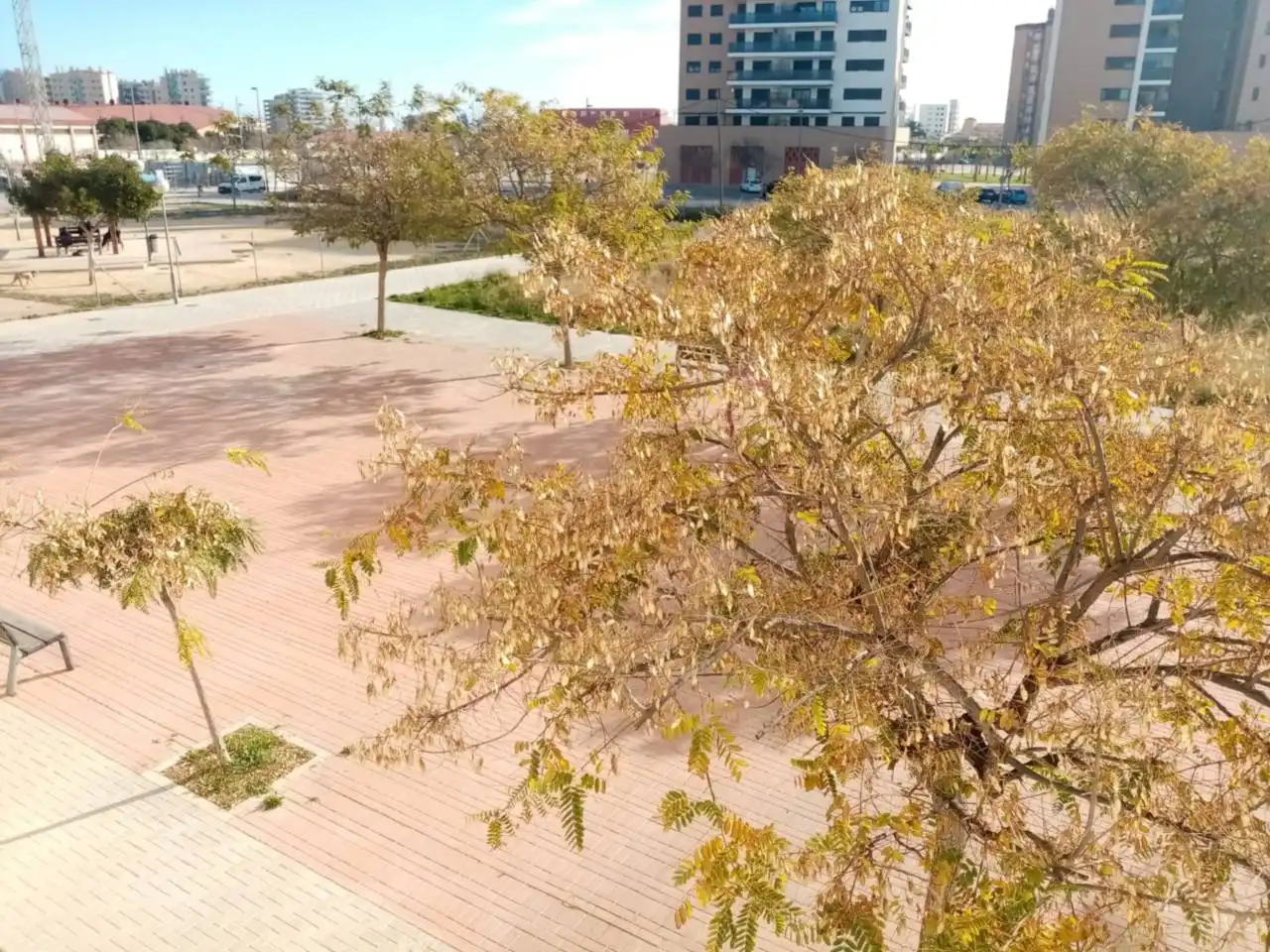 Wohnung zur Miete in Campello pueblo