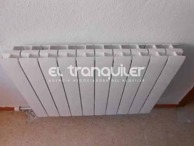 Garden of Flat for sale in Madrid  with Air Conditioner, Terrace and Furnished