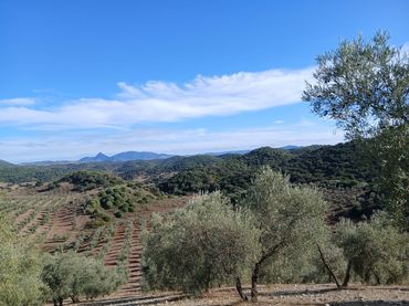 Rustikales Grundstück zum Verkauf in Poligono 11 Paraje 415 Plata