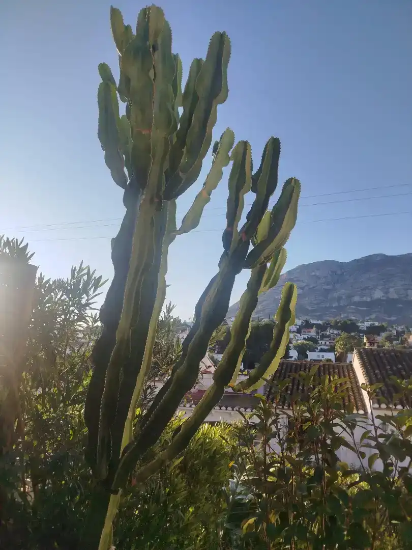 Vista exterior de Casa o chalet en venta en Dénia con Aire acondicionado y Balcón