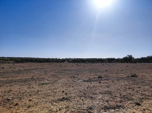 Terreno en Venta en Ontur