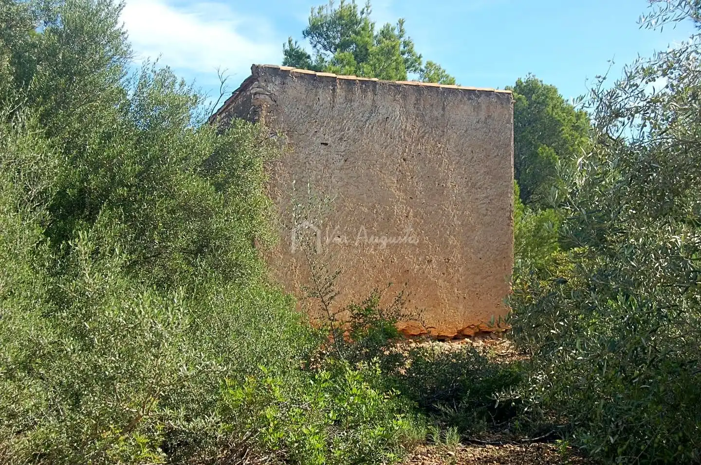Terreny rústic en venda a Partida La Bassa Fornos, imagen 3