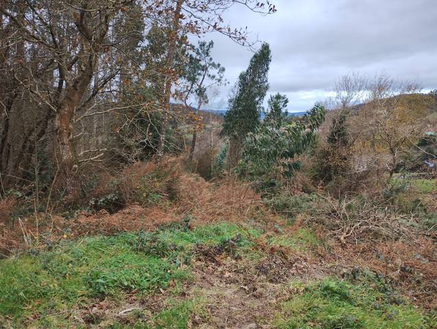 Terreno en Venta en Neda