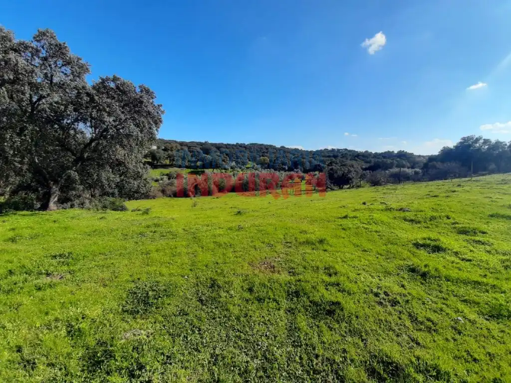 Casa en venta en Millanes, imagen 3