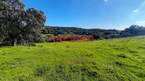 Finca con encinas, cerrada con paredes de piedra y situada a 250 m del municipio de Millanes Cáceres, image 3