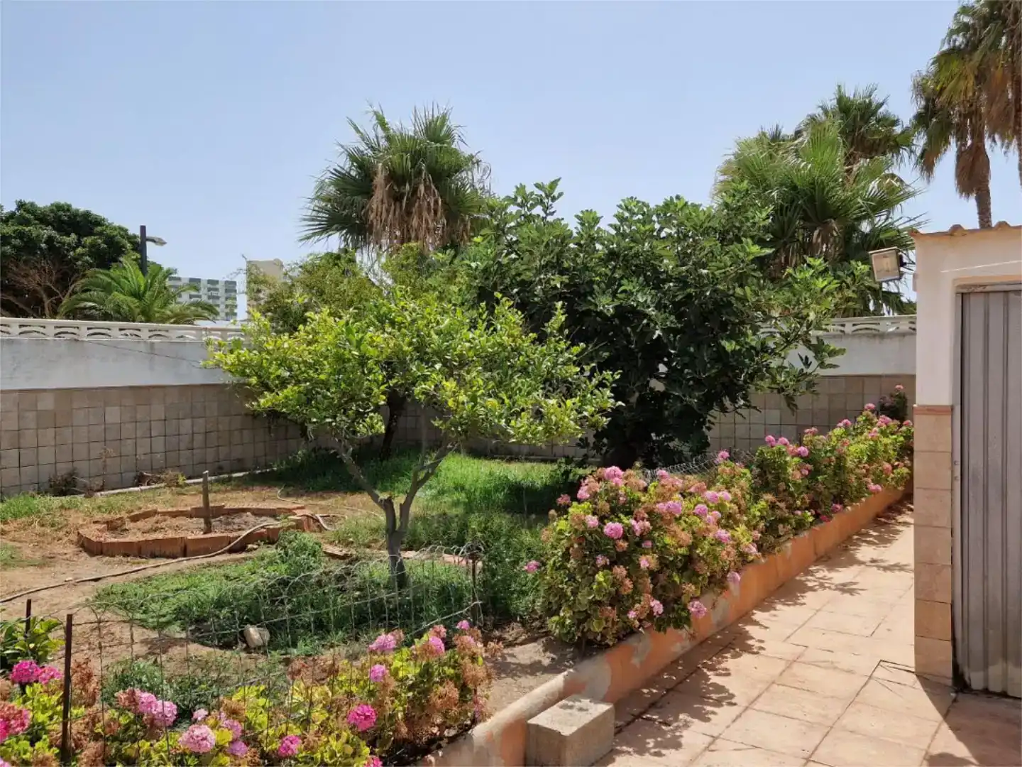 Jardí de Casa o xalet en venda en Roquetas de Mar amb Aire condicionat i Balcó