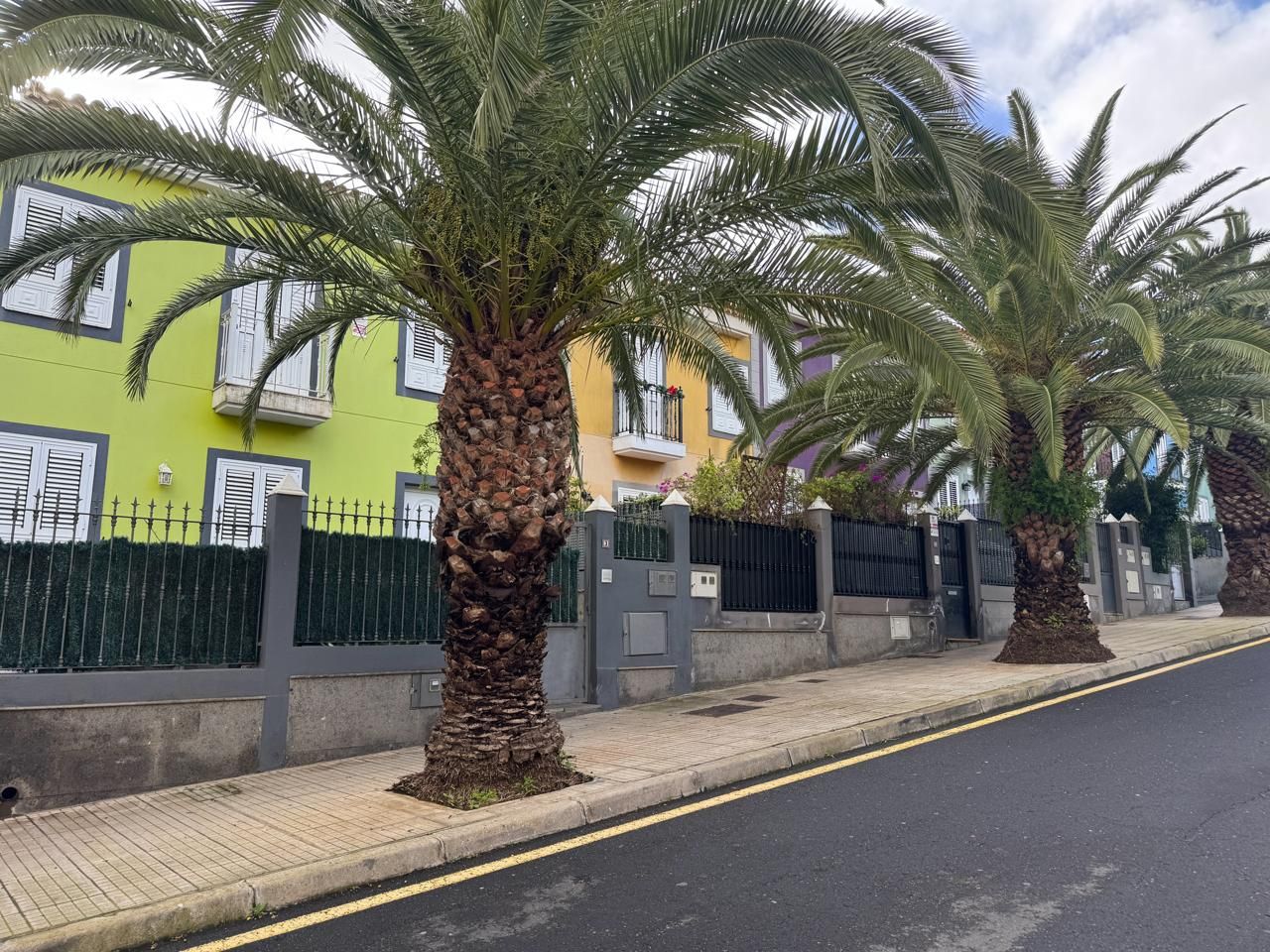 Exterior view of Single-family semi-detached for sale in San Cristóbal de la Laguna  with Private garden and Terrace