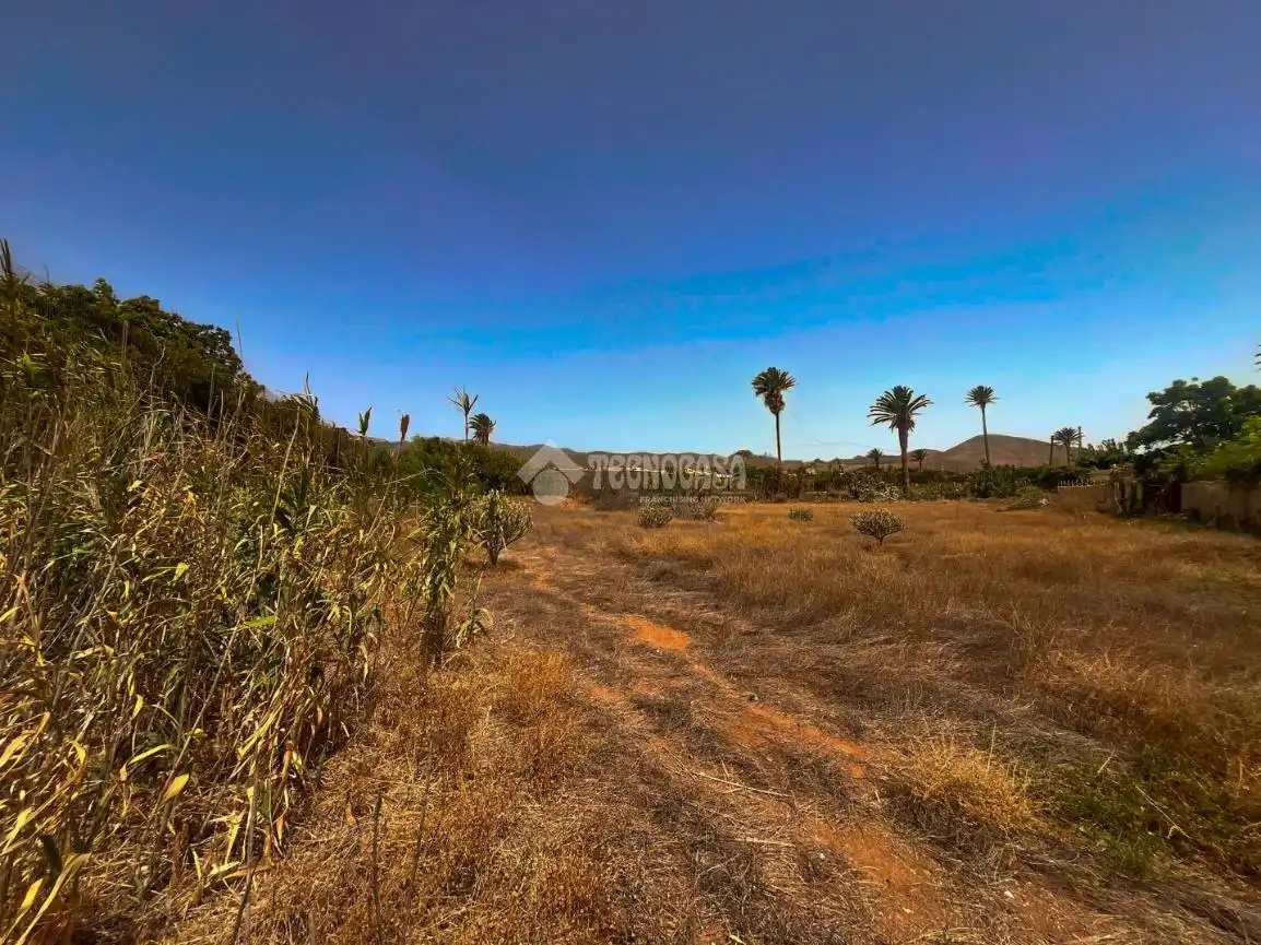 Rural land for sale in Ingenio pueblo, imagen 14