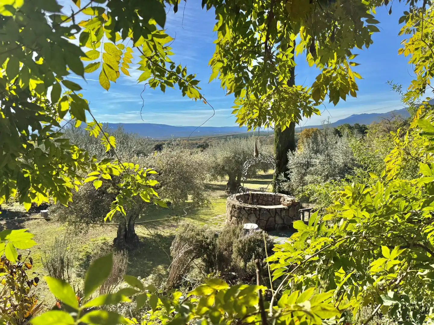 Jardín de Finca rústica en venta en Piedralaves con Jardín privado, Terraza y Trastero