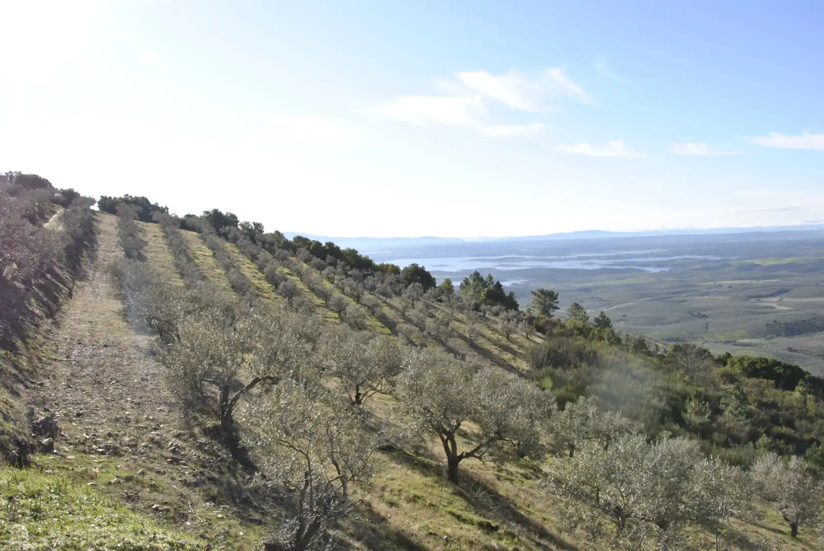 Terreno en venta en La Pesga 